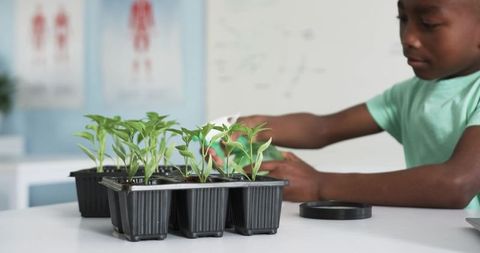 African american student tending seedlings in classroom lab for hands-on science learning