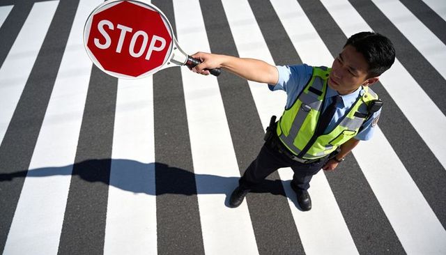 Traffic officer directing vehicles holding stop paddle on zebra crosswalk, urban safety