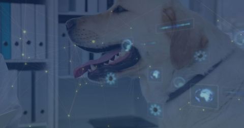 Veterinarian Clinics embracing New Technology and Data