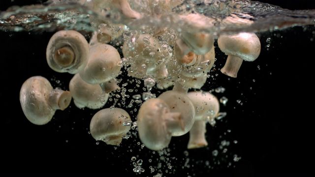 Mushrooms plunging into water captured in mid-splash conveys freshness and vitality. The bubbles and motion suggest dynamic energy, ideal for food-related designs, advertisements promoting freshness, or content about healthy eating and natural ingredients.