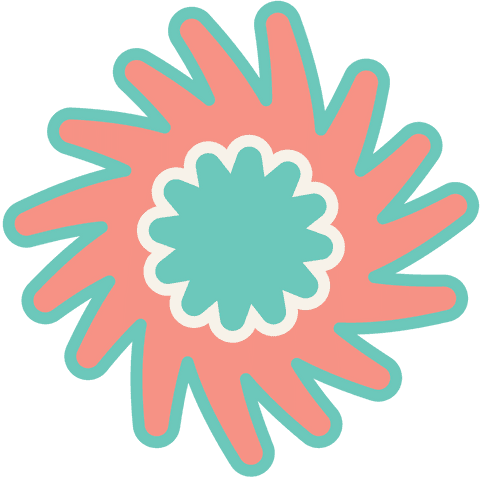 Abstract Green and Pink Flower with Transparent Background - Download Free Stock Videos Pikwizard.com