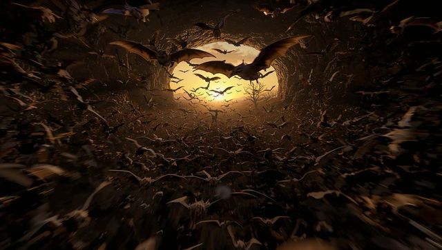 Breathtaking Bat Swarm Exiting Illuminated Cave at Dusk