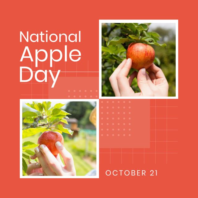 Celebrating National Apple Day with Apple-Picking Scenes - Download Free Stock Templates Pikwizard.com