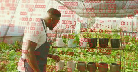 Urban greenhouse gardener checking seedling pots on metal shelving with binary overlay