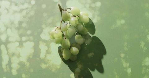 Green grape cluster resting on green surface with bokeh highlights and natural shadow