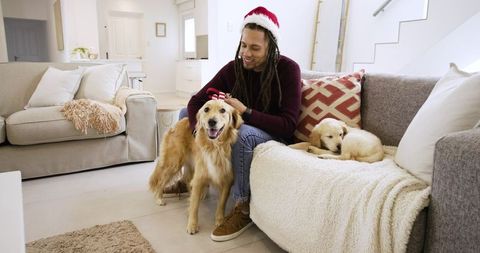 Man in santa hat placing red bow on golden retriever while puppy resting on sofa at home