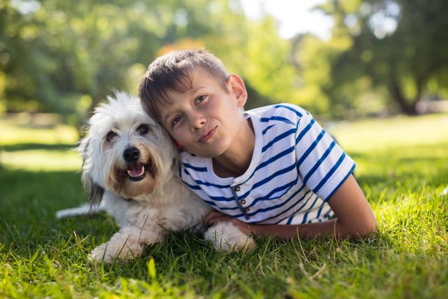 Portrait of boy with dog in park on sunny a day