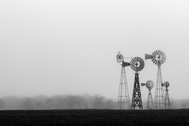 Black and white scene depicting multiple windmills in misty field with overcast sky. Windmills create a sense of nostalgia and serenity. This image can be used in projects focusing on rural life, vintage themes, or environmental elements. Great for backgrounds or inspirational presentations emphasizing quiet and calmness of countryside.