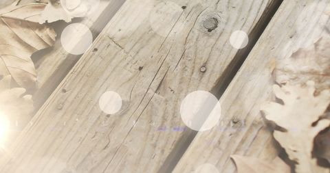 Autumn Leaves on Weathered Wood with Soft Light Reflections - Download Free Stock Images Pikwizard.com