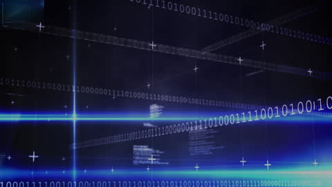 Dynamic Binary Code on Digital Screens for Data Analysis