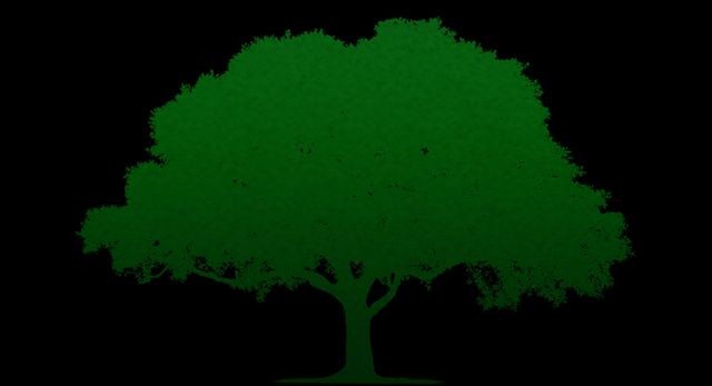 This image showcases a green tree silhouette against a black background. The simplified and bold contrast highlights the natural shape and outline of the tree, making it an excellent choice for use in environmental campaigns, nature-related designs, or minimalist artwork. Ideal for posters, flyers, websites, and educational materials about trees, nature, and conservation.