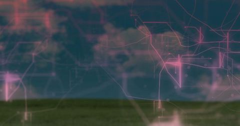 Neon-pink network overlay animating over grassy field sunset futuristic holographic grid