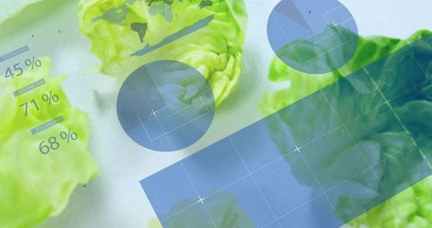 Crisp Lettuce Leaves with Modern Data Visualization Graphics