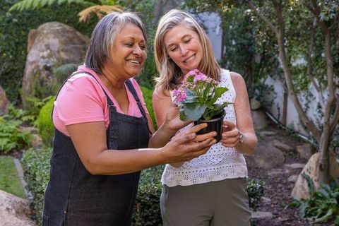Senior Friends Gardening Together with Pink Flower in Serene Garden