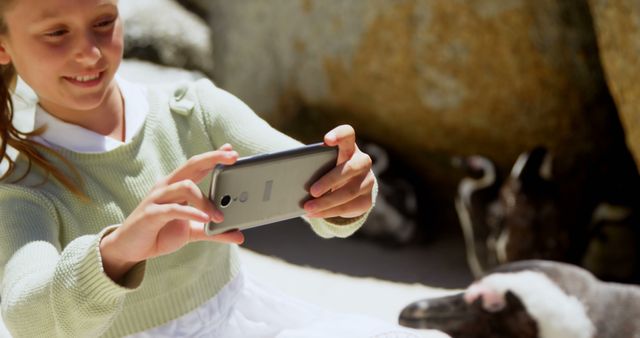 Girl Taking Photos of Penguins Using Smartphone Outdoors - Download Free Stock Images Pikwizard.com