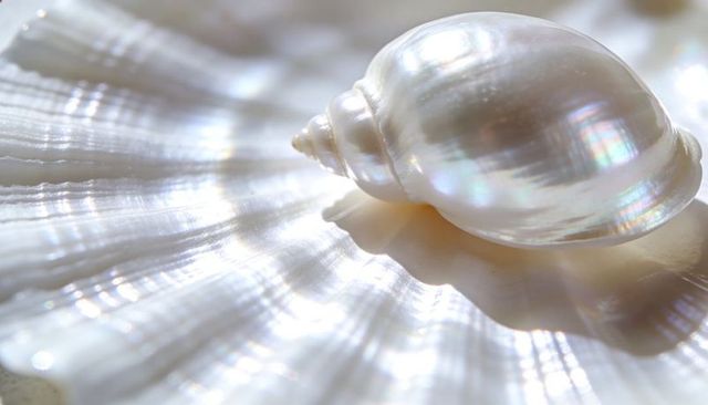Iridescent pearl spiral shell on ridged nacre with soft shimmer and copy space