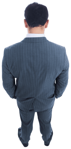 transparent back view of asian businessman in pinstriped suit - Download Free Stock Videos Pikwizard.com