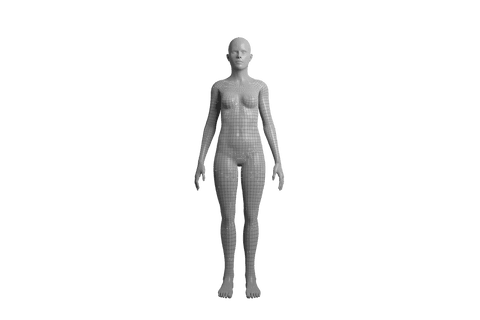 Transparent Digital Silhouette Female Body Vector on Isolated Background - Download Free Stock Videos Pikwizard.com