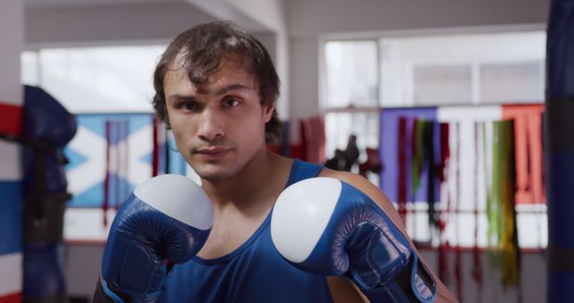 Determined Boxer in Gym Sparring Stance - Download Free Stock Images Pikwizard.com