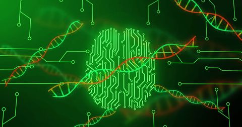 Digital Brain with DNA Strands and Circuits - Download Free Stock Images Pikwizard.com