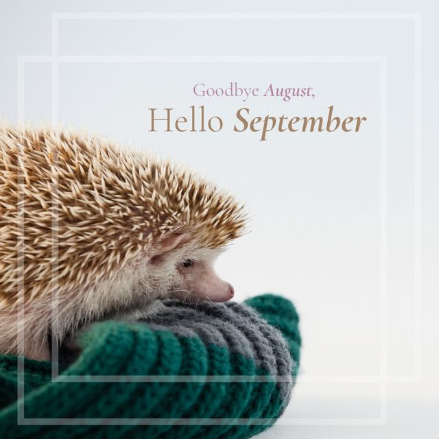 Adorable hedgehog snuggling on a cozy sweater with a white background. Text reads 'Goodbye August, Hello September'. Perfect image for social media posts, blogs, and marketing campaigns celebrating the arrival of autumn and the transition into September.