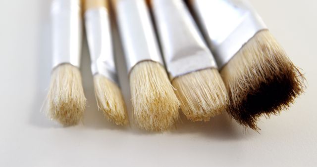 Macro view of various paintbrush bristles, highlighting differences in texture and tips. Useful for digital art resources, art supplies websites, DIY craft tutorials, or educational material in painting techniques.