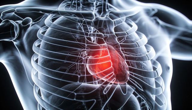 Transparent thorax revealing glowing heart and coronary vessels medical 3d render