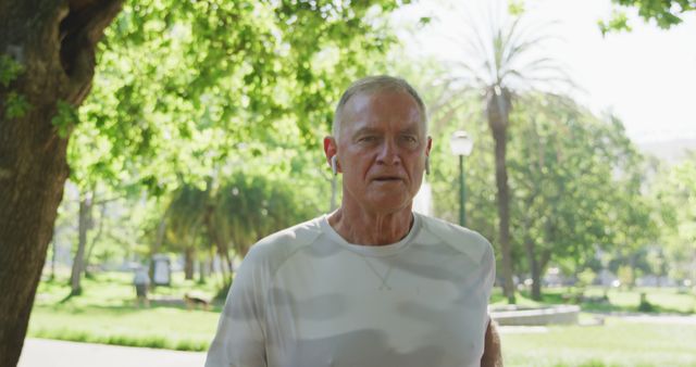 Senior Man Jogging in Park with Tree and Sunshine Background - Download Free Stock Images Pikwizard.com