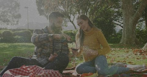 Couple Enjoying Romantic Picnic with Wine in Park