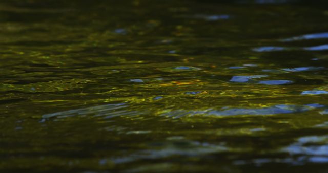 Close-up view of a rippling water surface reflecting green colors. This abstract and tranquil image can be perfect for nature backgrounds, environmental themes and relaxation apps. Suitable as a desktop wallpaper or for use in editorial content and design projects focusing on nature's textures.