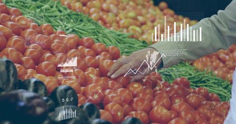 Grocery shopper scanning tomatoes with augmented reality produce analytics and price charts