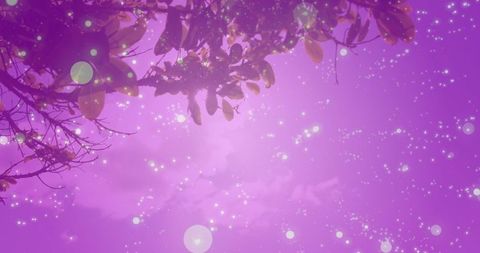 Snowfall Over Mystic Purple Night Sky with Twinkling Lights