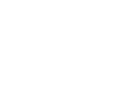 Transparent elegant paisley motif with lace and floral swirls