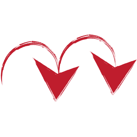 Curved Red Arrows on Transparent Background for Direction Concepts - Download Free Stock Videos Pikwizard.com