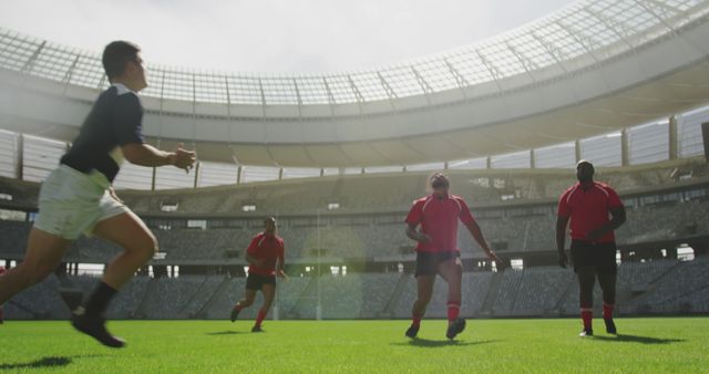 Rugby Players Competing in Stadium on Sunny Day - Download Free Stock Images Pikwizard.com