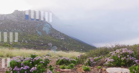 Purple wildflowers blanketing rocky hill against misty mountain