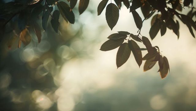 Golden backlit leaves with painterly bokeh for calm nature backgrounds