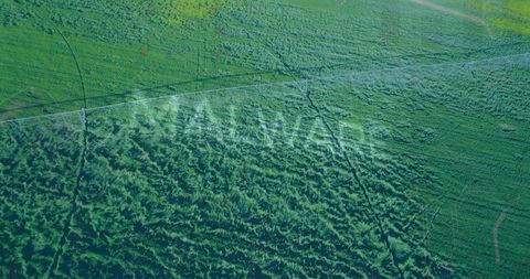 Aerial view of lush farmland with distinct patterns and dirt track