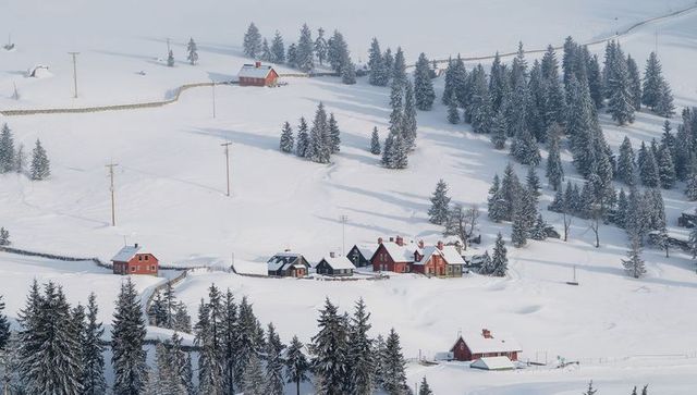 Red farmhouses nestling on snowy hillside with evergreen trees and stone fences