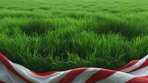 Vibrant green meadow with red and white striped cloth border