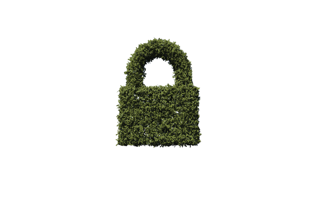 Transparent Padlock Covered in Plants Icon for Security Concepts - Download Free Stock Videos Pikwizard.com