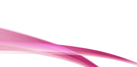 Abstract Transparent Pink Curves on Clear Background - Download Free Stock Videos Pikwizard.com