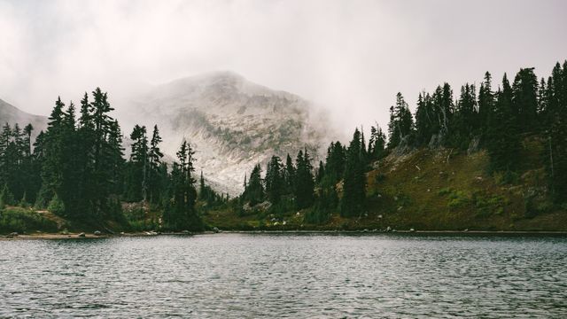 Misty mountain with pine trees near a calm lake creates a serene and tranquil outdoor setting. This image can be used for nature-themed projects, travel brochures, environmental studies, and backgrounds for inspirational quotes.