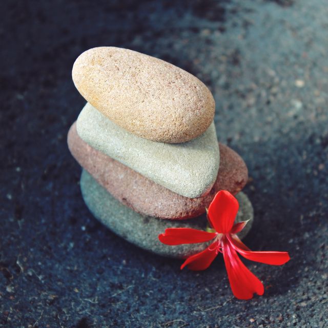 Stacked Smooth Stones with Red Flower on Dark Surface - Download Free Stock Photos Pikwizard.com