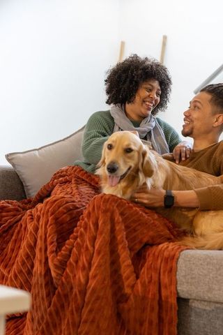Smiling couple cuddling on sofa with golden retriever under cozy rust blanket