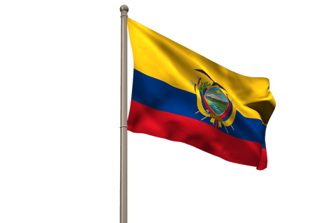 Ecuador national flag on transparent background waving illustratively