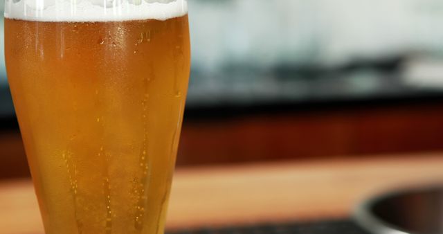 Cold Refreshing Beer in a Glass on Bar Counter - Download Free Stock Images Pikwizard.com