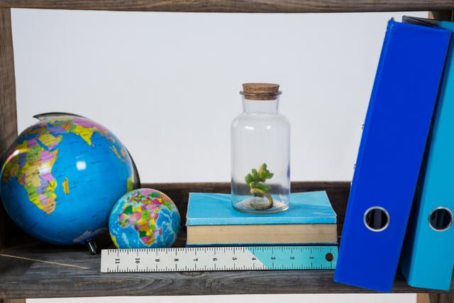 This image shows a neatly organized shelf featuring two globes, a stack of books, a ruler, blue binders, and a small plant in a glass jar. Ideal for use in educational materials, office decor, or articles about organization and workspace setup.