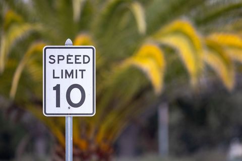 Speed limit sign with blurred nature background