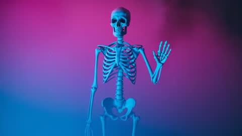 Skeleton Model Waving in Artistic Lighting